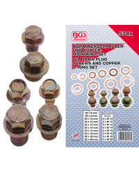 Assortiment carterpluggen en aluminium afdichtringen | 534-dlg
